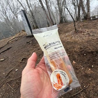 娘からもらった行動食、無印良品の「みたらし団子風バーグ」、これ食感もよく好きな味。