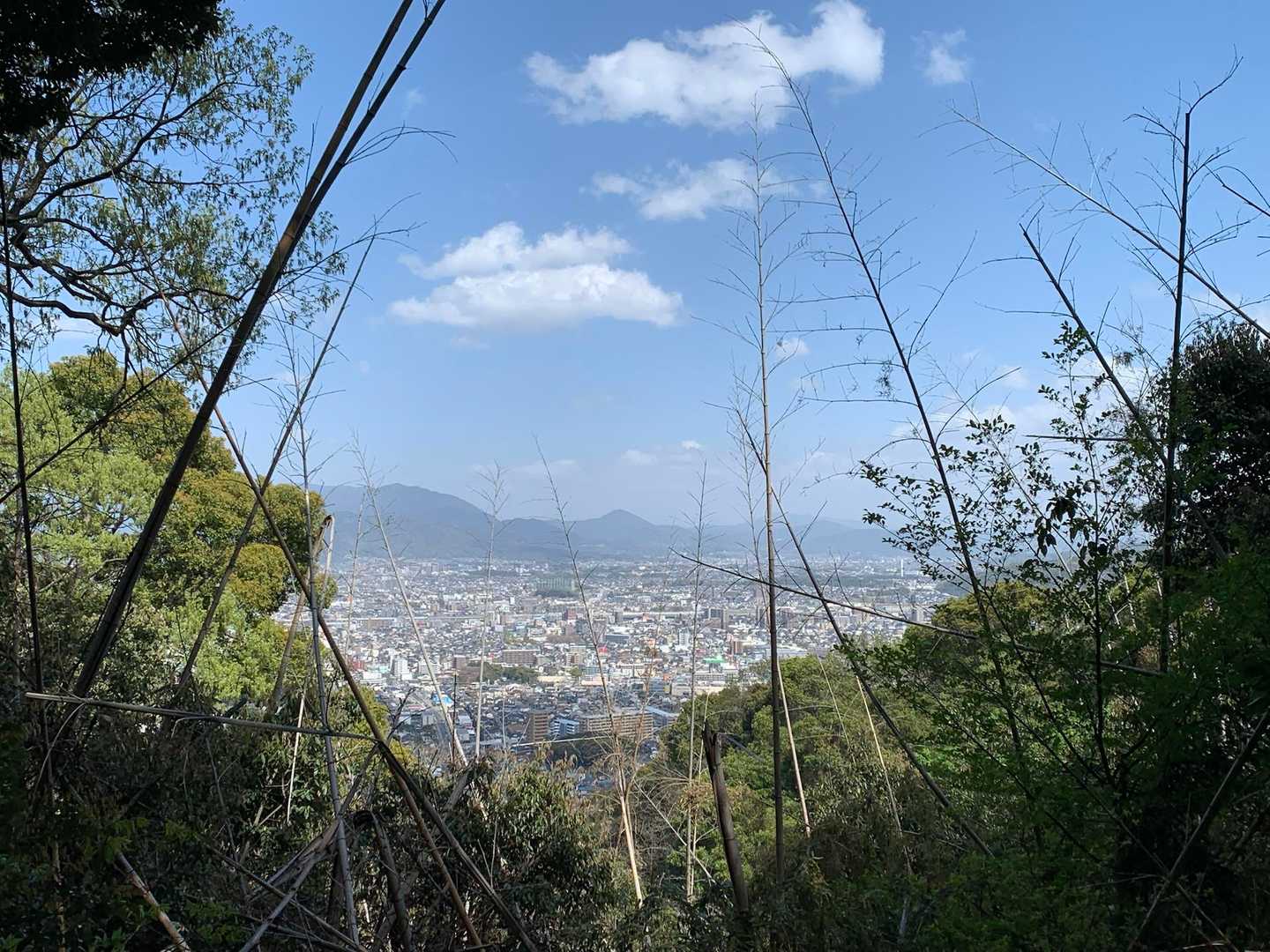 宝満山もばっちり