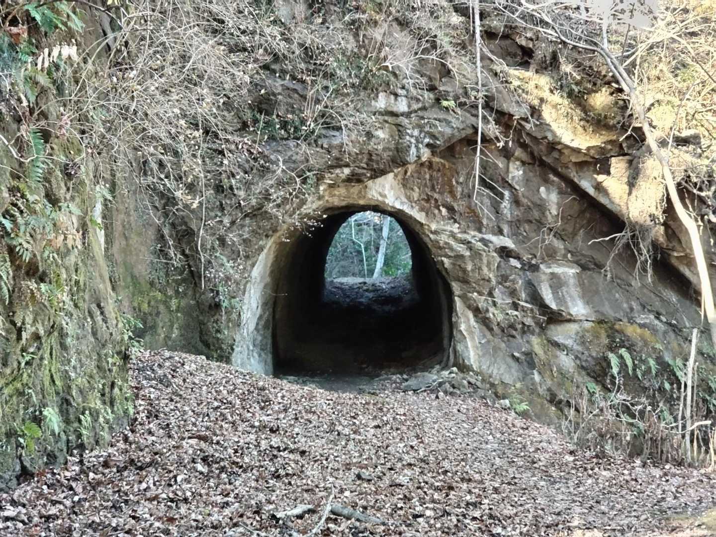 トンネル