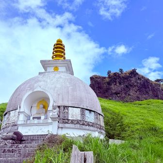　　　ほんと〜　ラクダの型　不思議〜