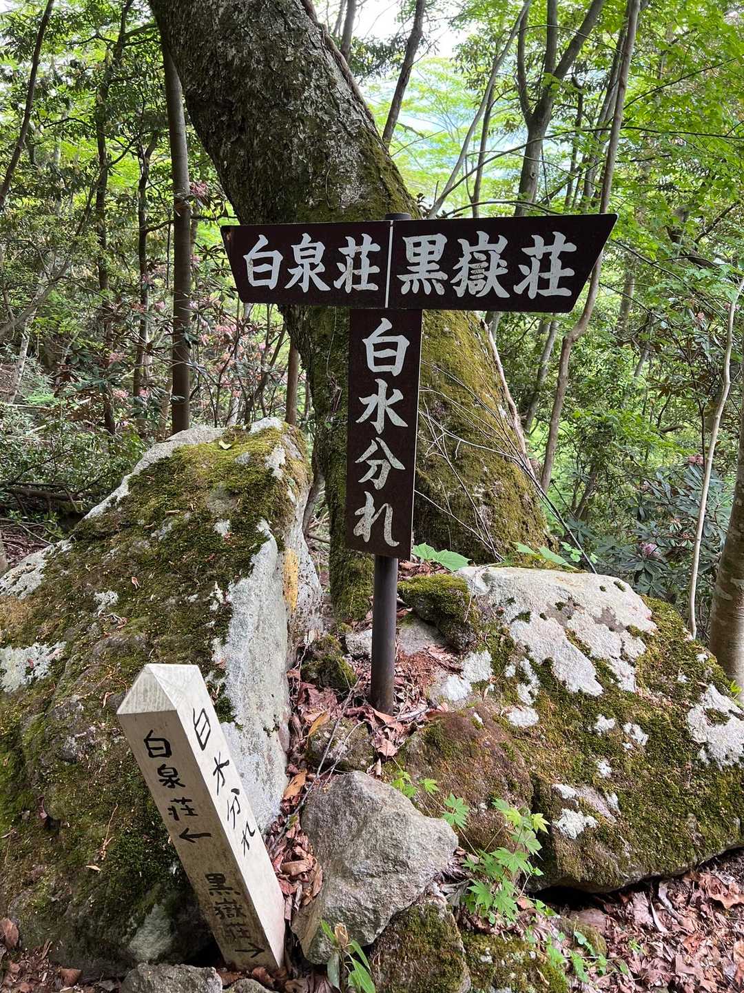 前岳 往復コースの写真