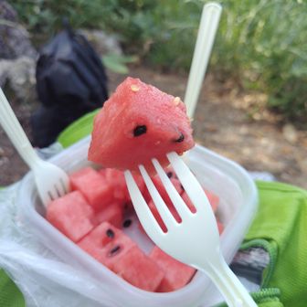 今日は暑くて冷えた🍉スイカが美味しい😋