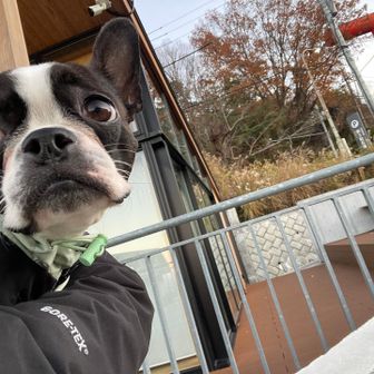 今日は山登るよと伝えてもスンとしてる。