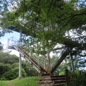 今日は遠くまで見えそうなので、展望台にも登っておきました。
