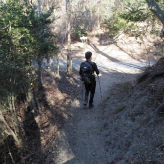 道路のような道に出ました。