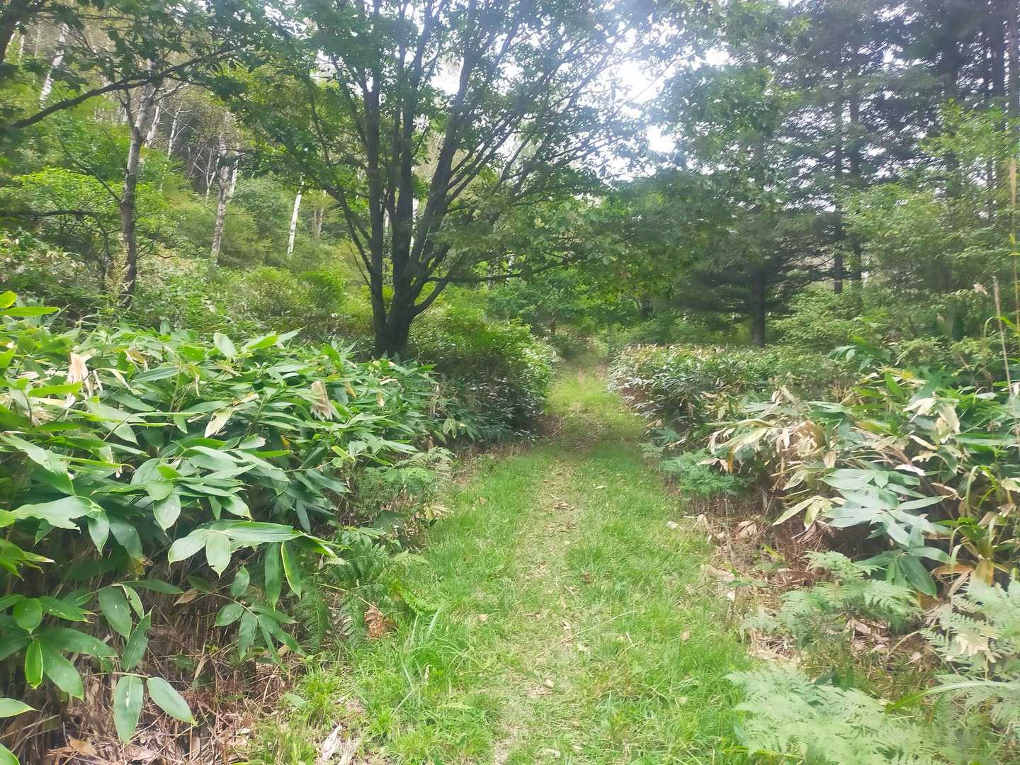 桟敷山-小桟敷山 周回コースの写真