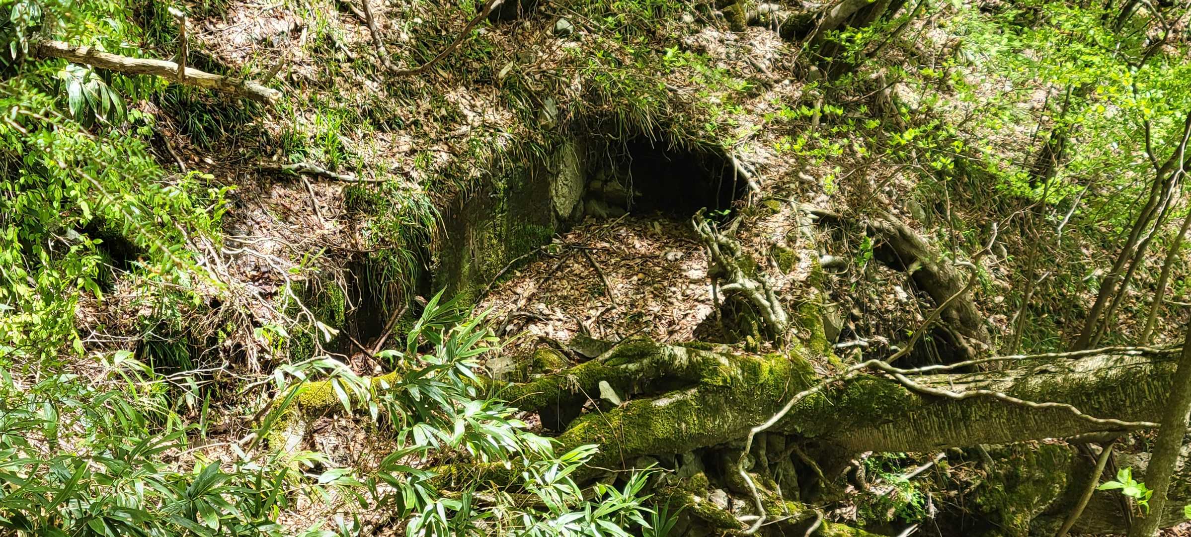 おそらく人工構造物だと思う