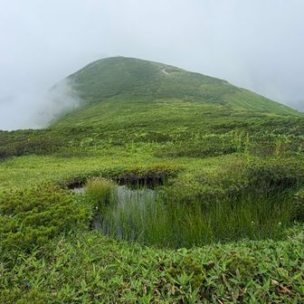 池塘