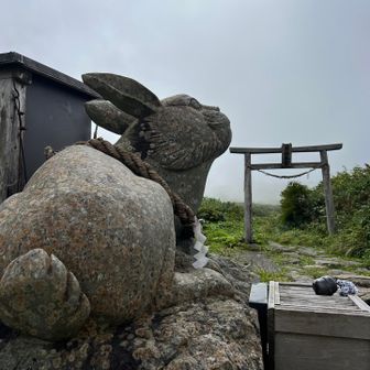 ただいま！