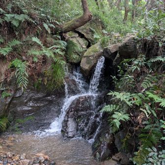 慈悲の滝
沢沿いを登っていきます