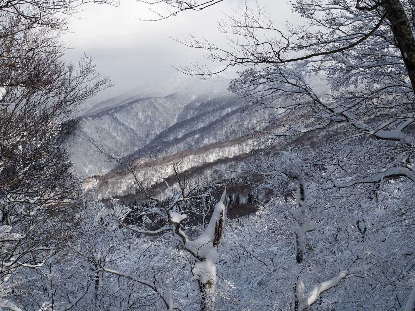 やっと到着しました、前岳🤩️

奥に見えるのが奥岳？🤔️