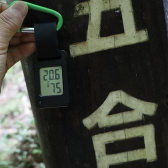 5合目  20.6℃