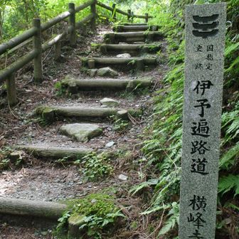 しばらく階段をのぼり