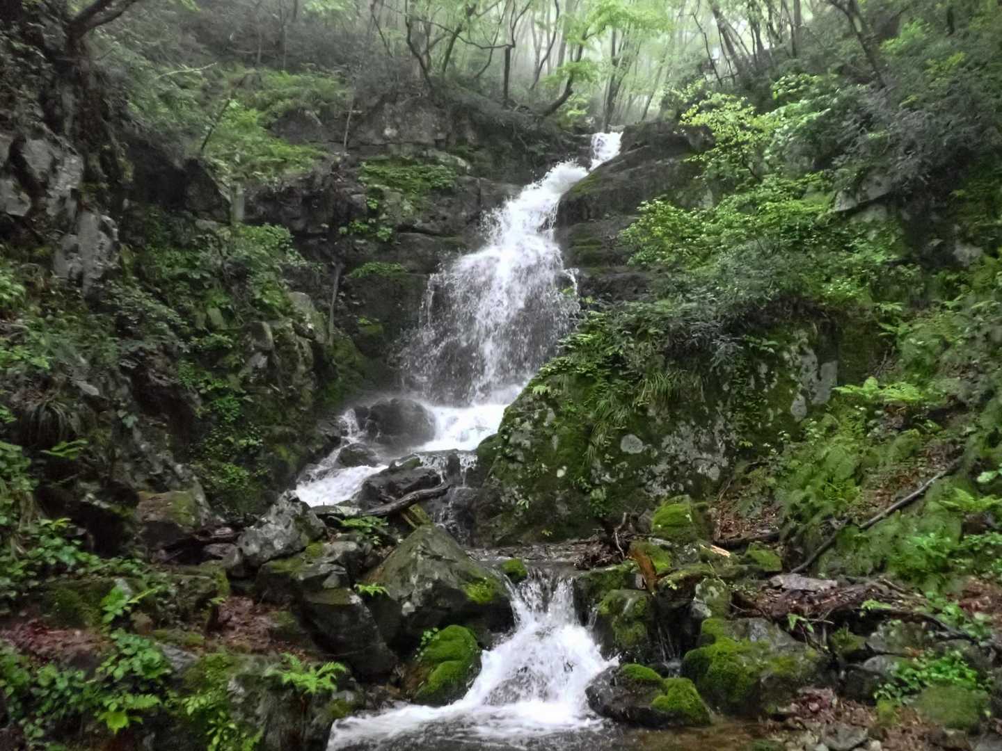 滝見コース入口-大万木山-大万木山権現-権現コース入口-横 周回コースの写真
