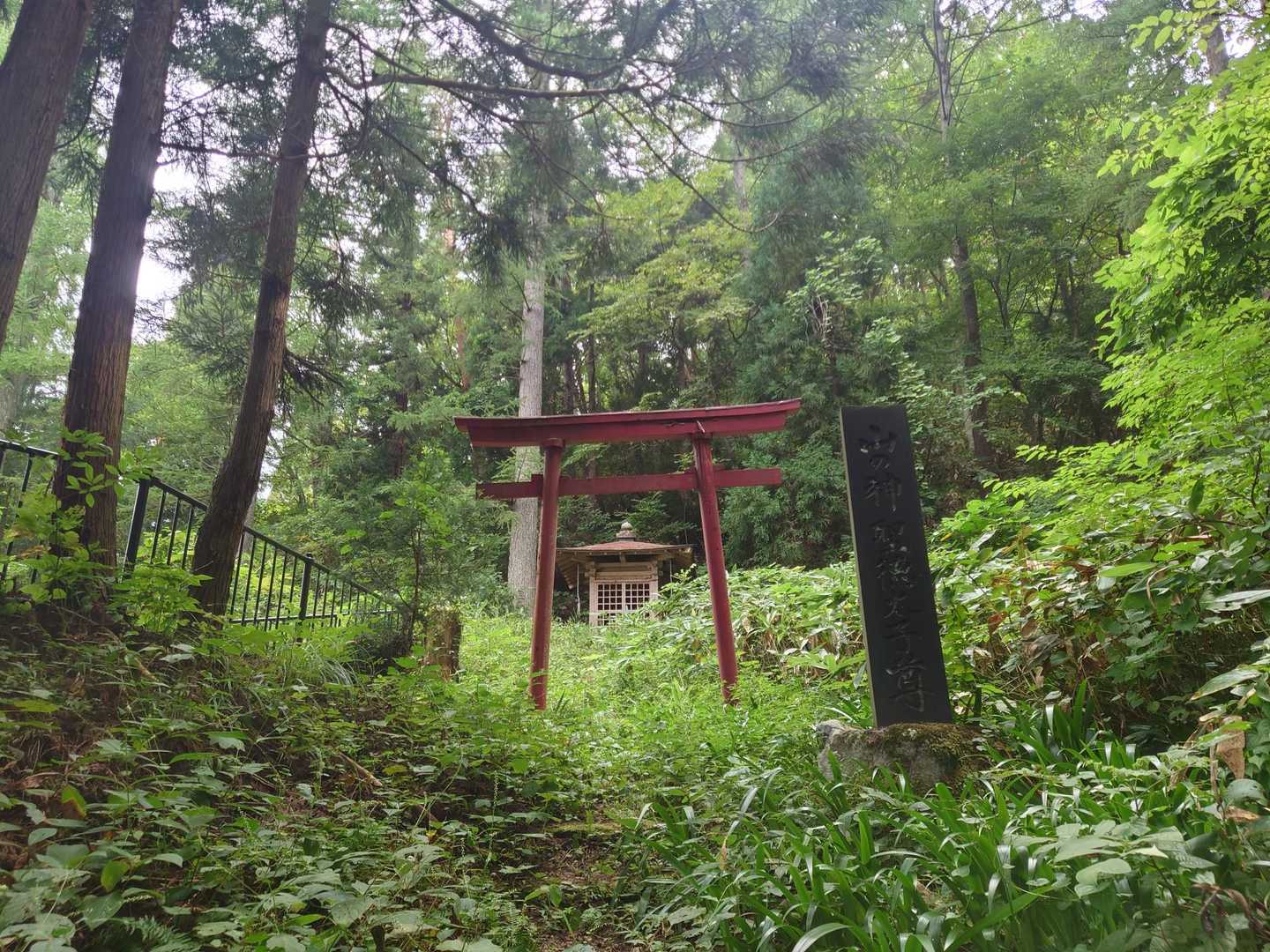 山頂広場-甑岳 往復コースの写真