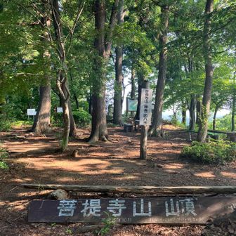 山頂到着⛰️