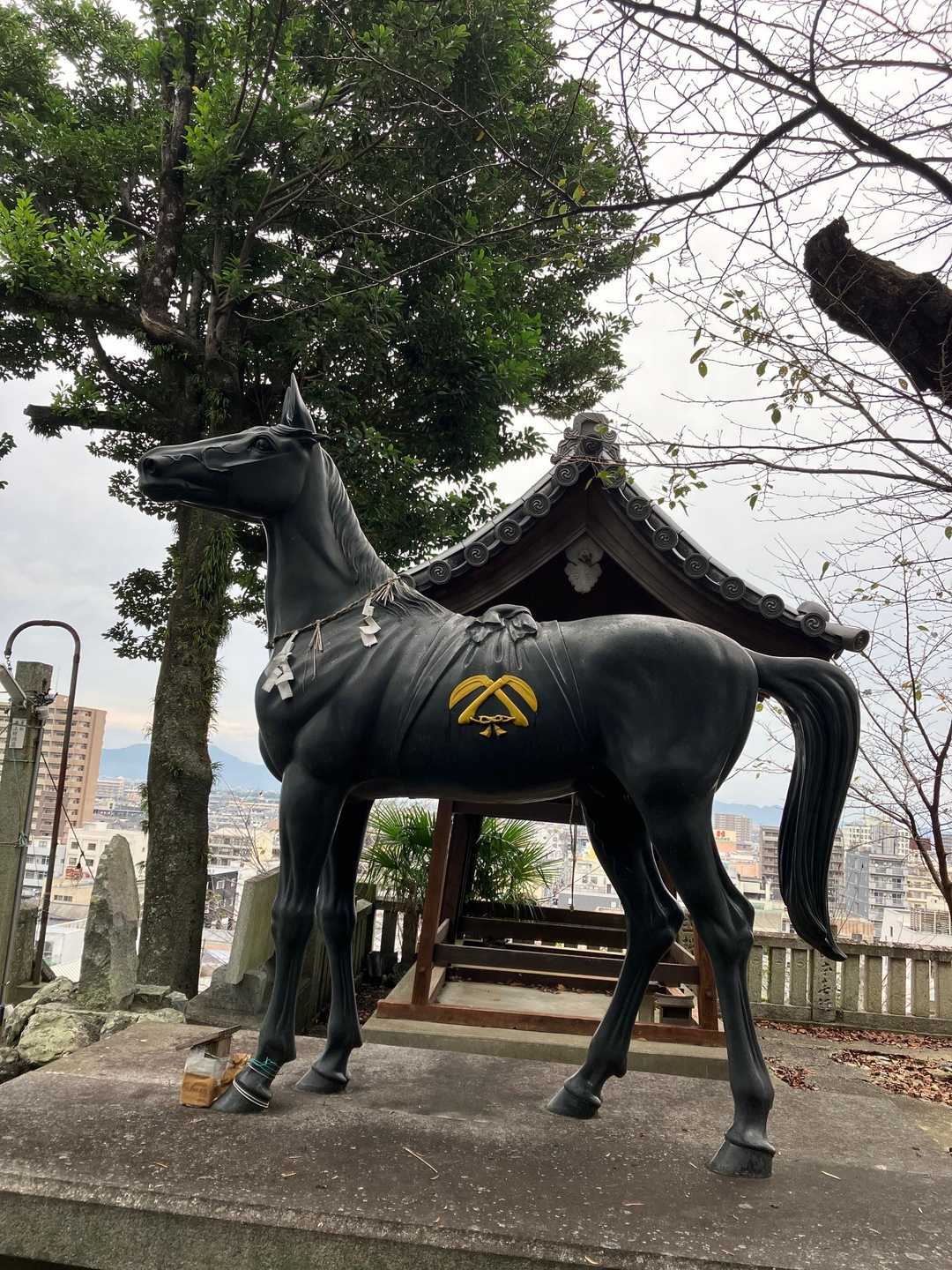 諏訪神社-眉山 往復コースの写真