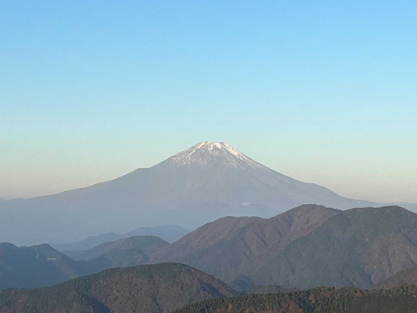 ズームアップ