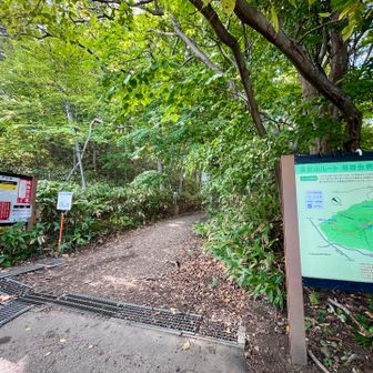 36号線のアップダウンにスピード出ず💦
そして、ここの手前の坂が1番の急登🤣🚴‍♀️
やっと着いた慈啓会の登山口
予定より時間かかってしまった💨