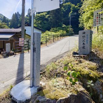 この坂を登ります