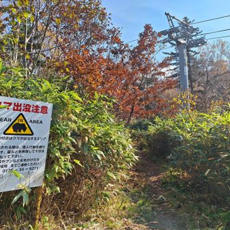 登山口