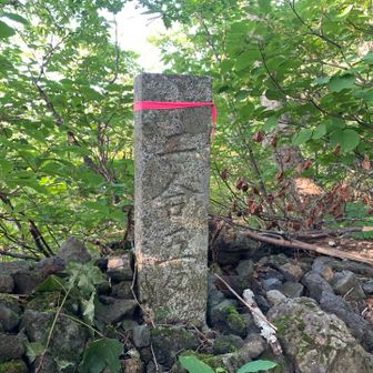 登りは旧道から