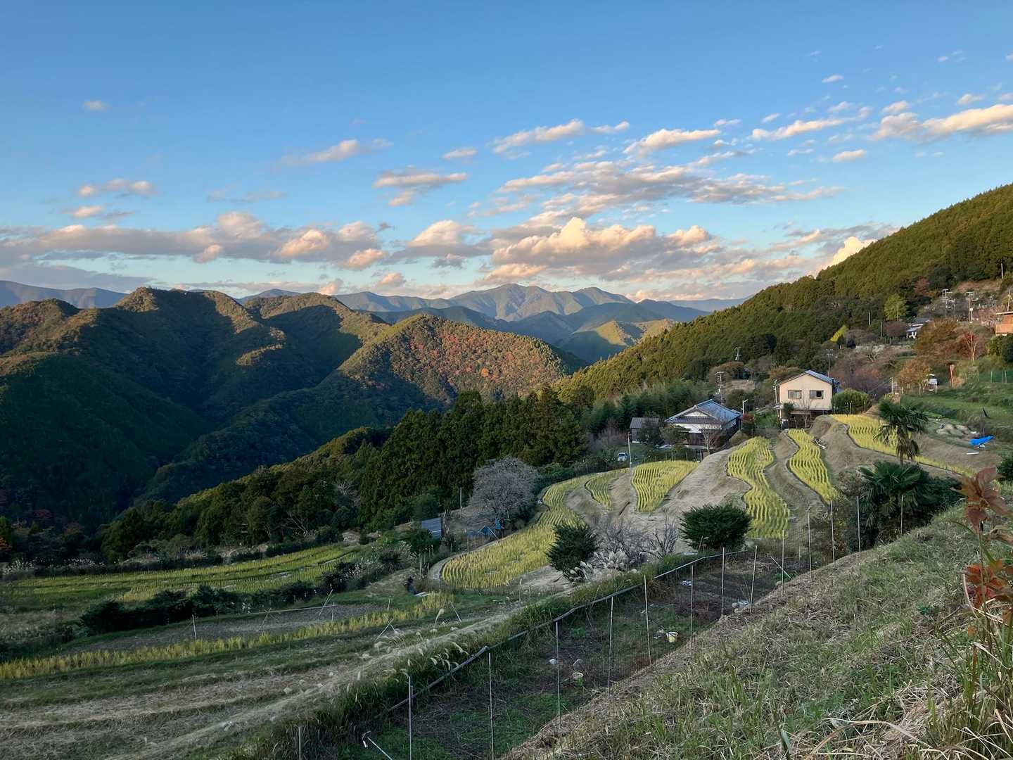聖なる森で耳を澄ませる和歌山・熊野古道①コースの写真