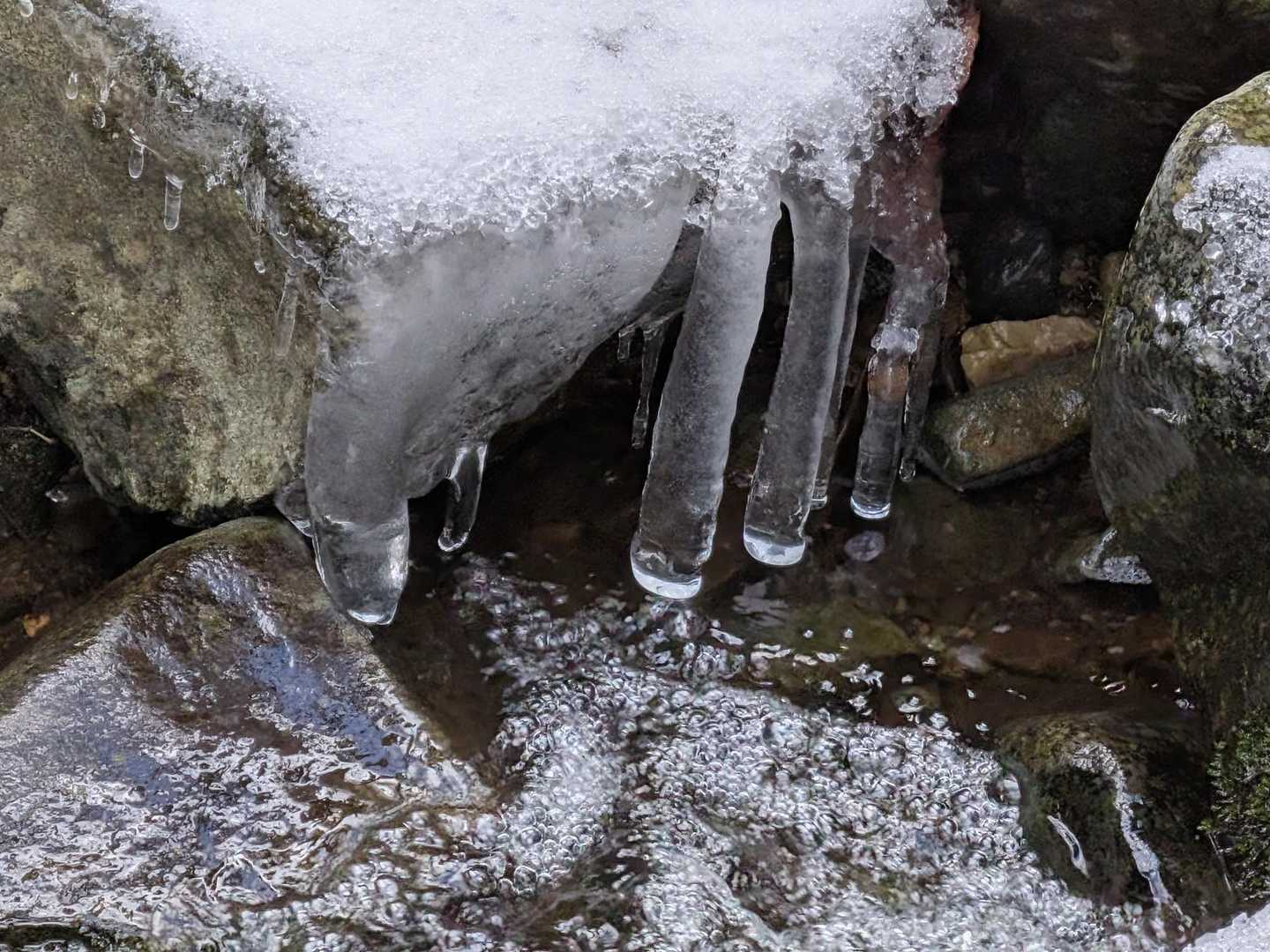 氷柱🧊