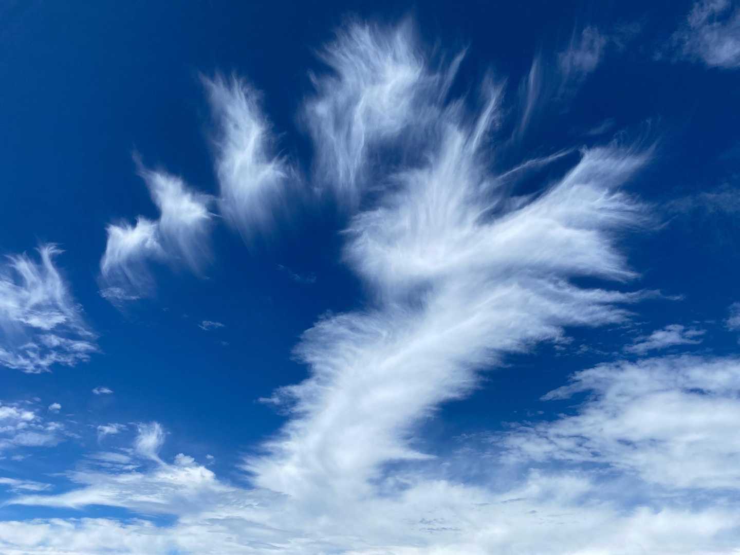 空が良い