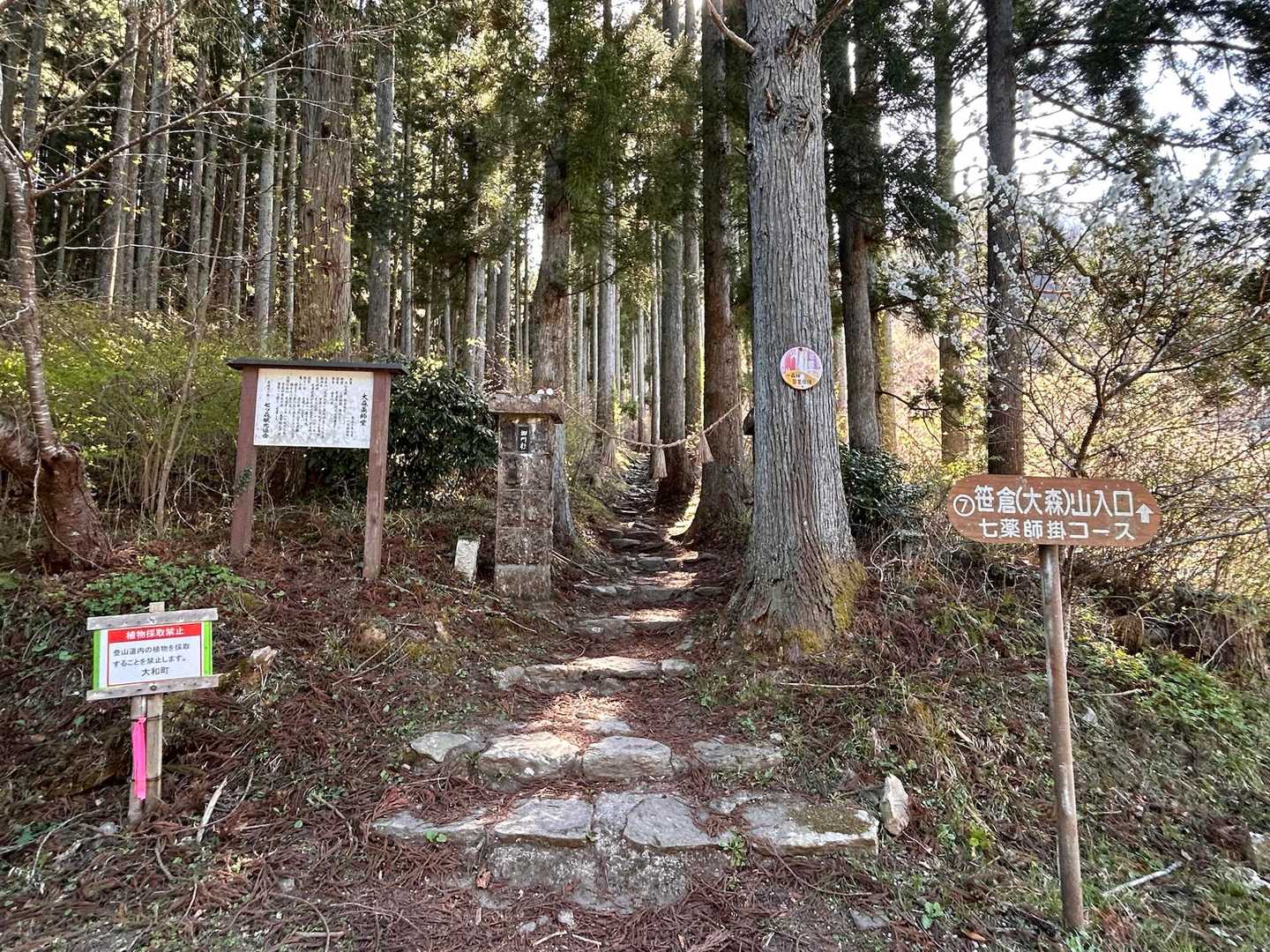 松倉山-撫倉山-蜂倉山-鎌倉山-遂倉山-笹倉山 縦走コースの写真