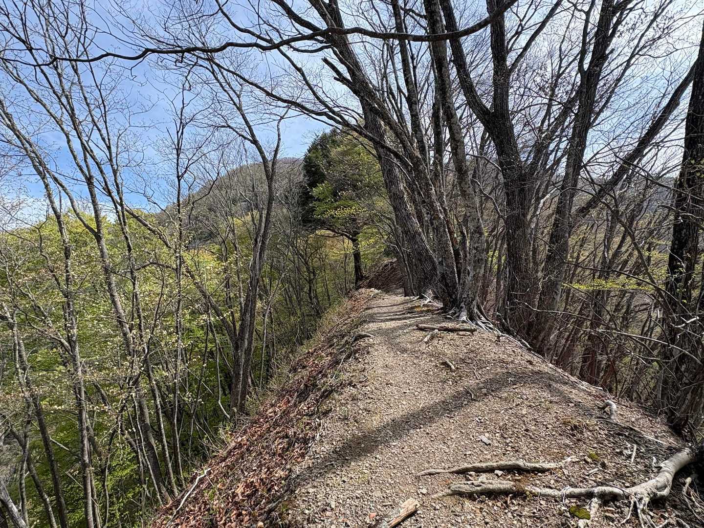 やせ尾根　左に落ちたら骨折だけでは済まないかも😱