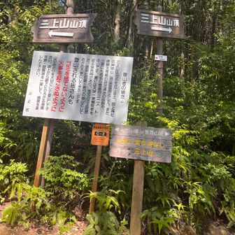 裏登山道で下山