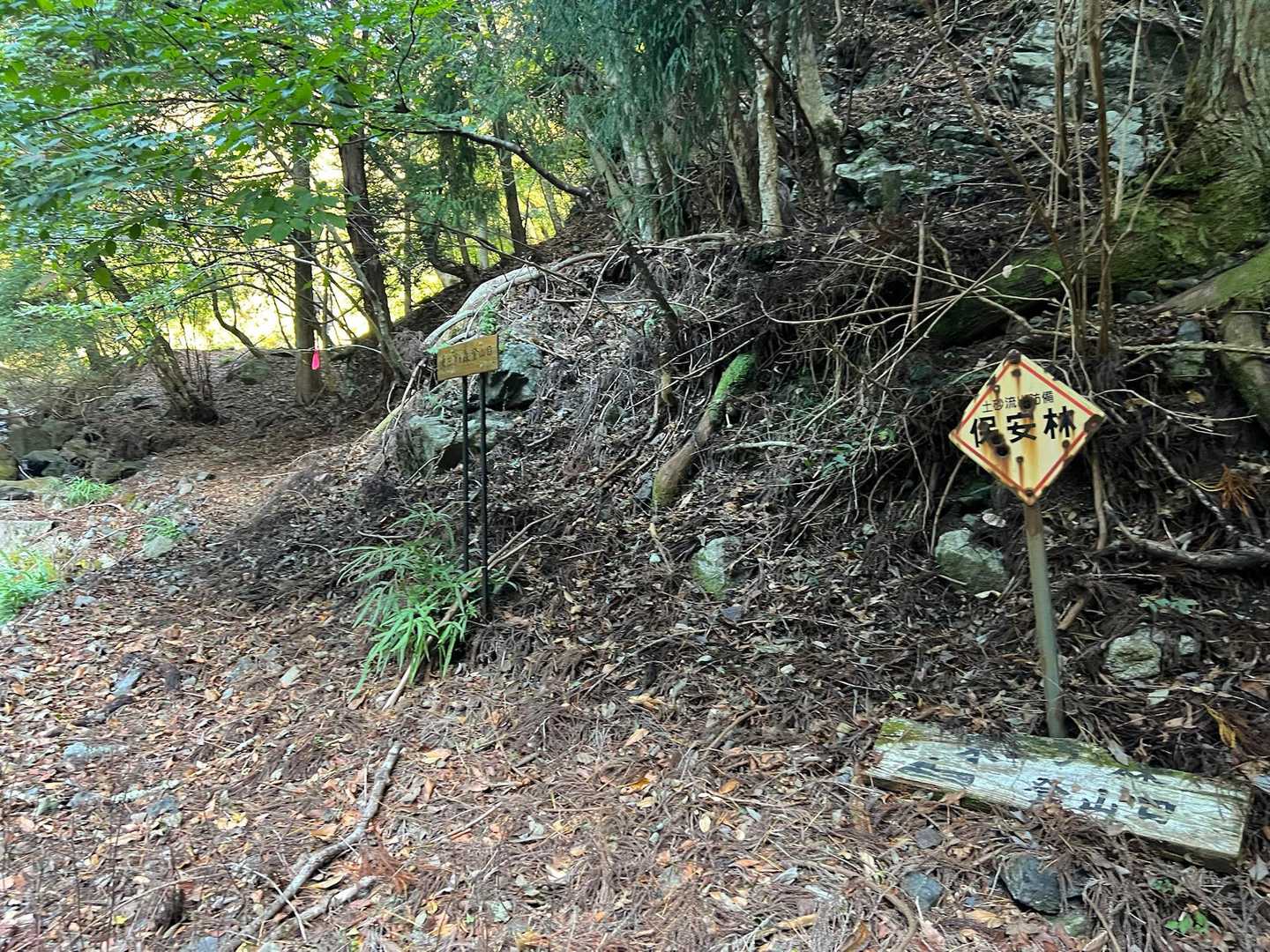 
登山口

