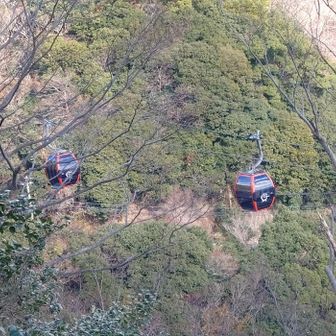下山途中に近くを布引ロープウェイのゴンドラが通過
