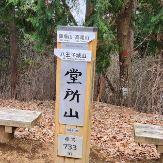 せっかくなのでピークハント。