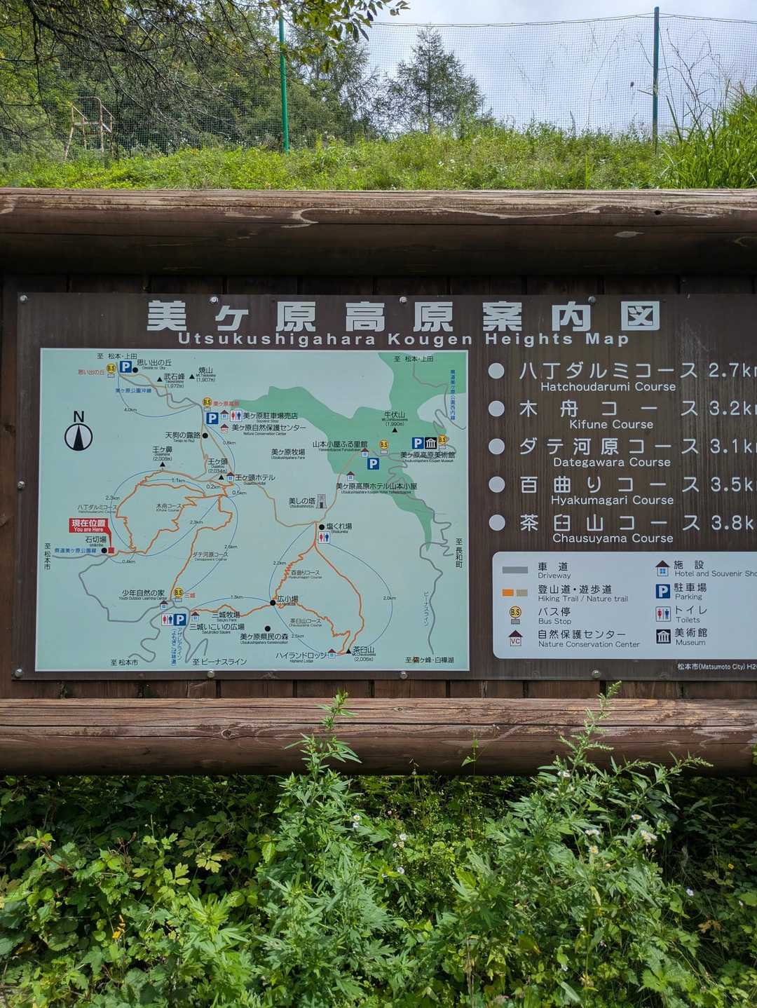 桜清水登山口-王ヶ鼻-美ヶ原 周回コースの写真