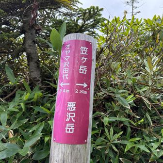 悪沢岳に到着。
笠ヶ岳への通過点ですね