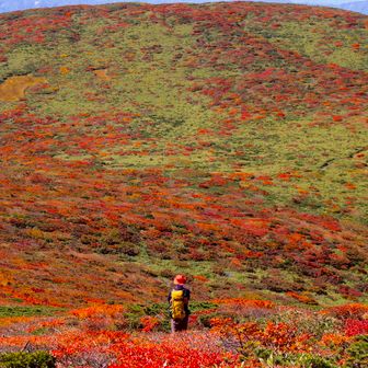 たかまる🤟🏿。