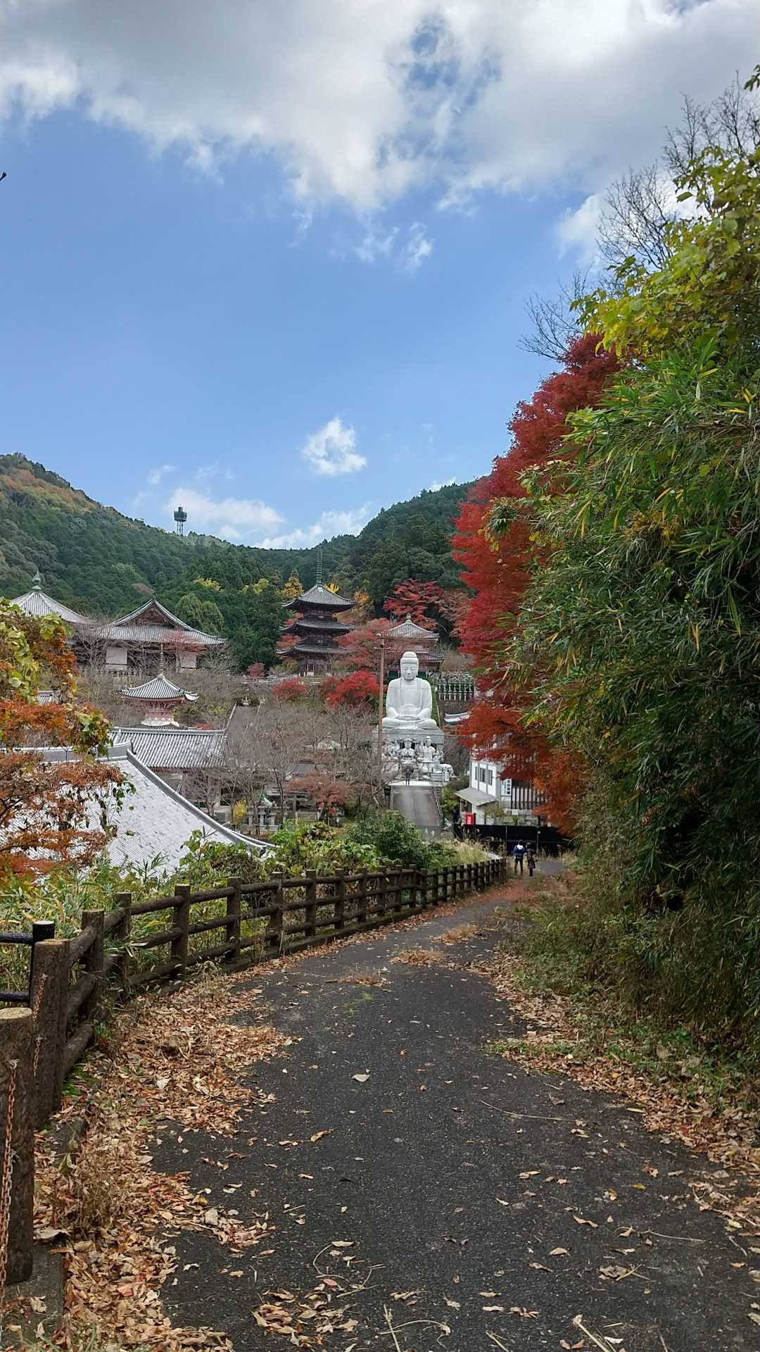 お寺の境内の紅葉🍁も素晴らしそうですが、今日は城跡へ急ぎます💨