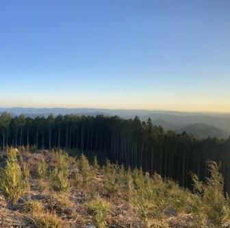 鉄塔の下をくぐって南側へ向かうとなかなか良い眺望じゃないですかー！！