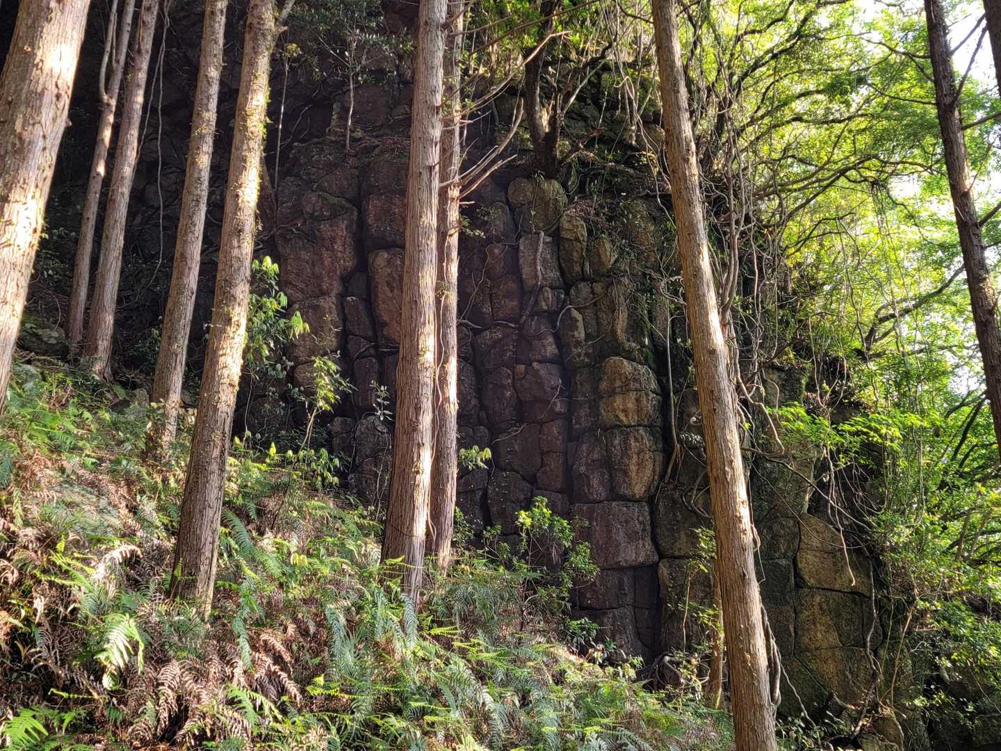 嶽ノ森山登り口-嶽ノ森山-嶽ノ森山登り口 縦走コースの写真