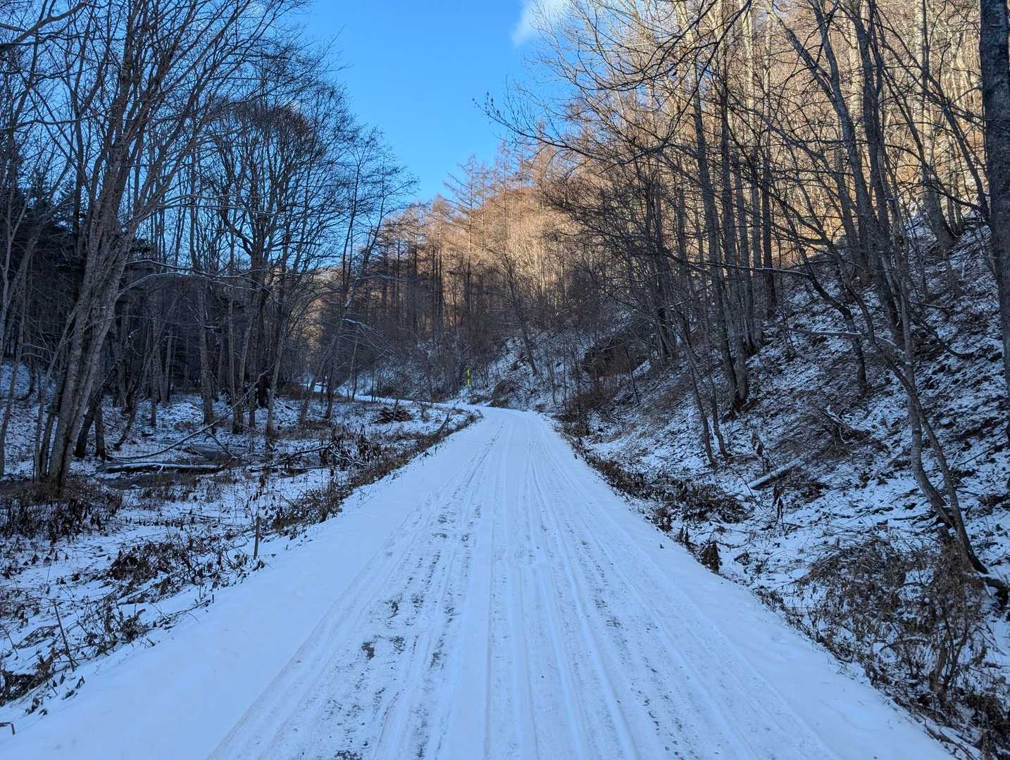 まずは林道　積雪は昨日夜の降雪で白い程度