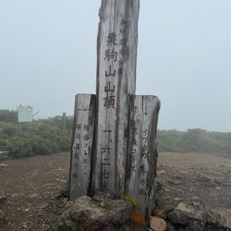 山頂到着
なかなか晴れの日に当たらない…