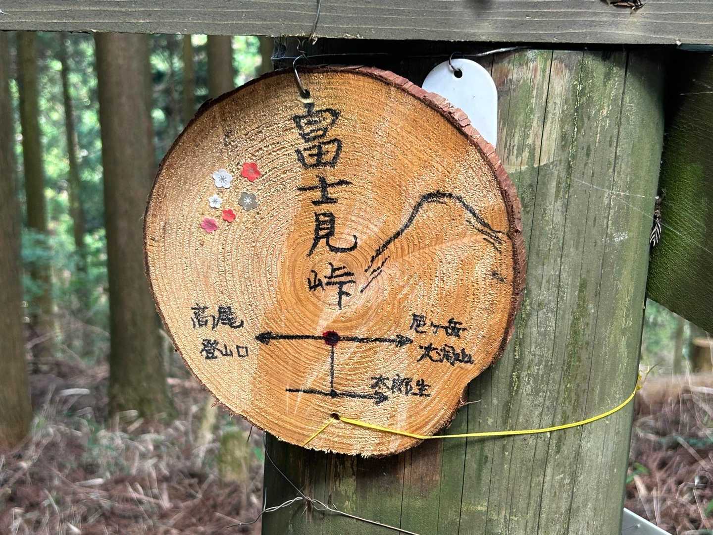 これも付けたて🌟可愛い梅のシール☔️降ったら取れちゃいそう🥹