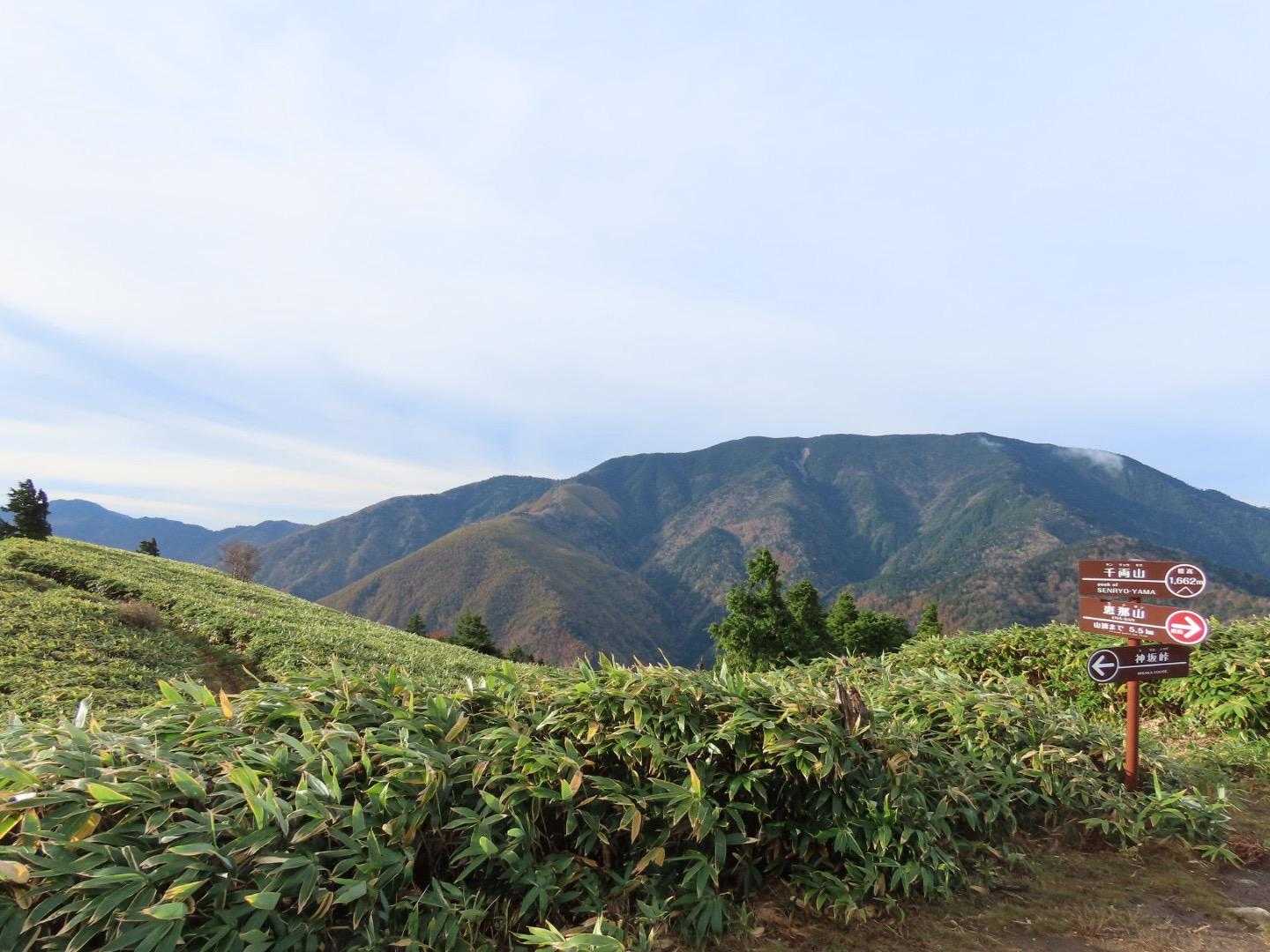 〈恵那山〉

山本さん、三上さん、
苗字みたいな山もありますね







