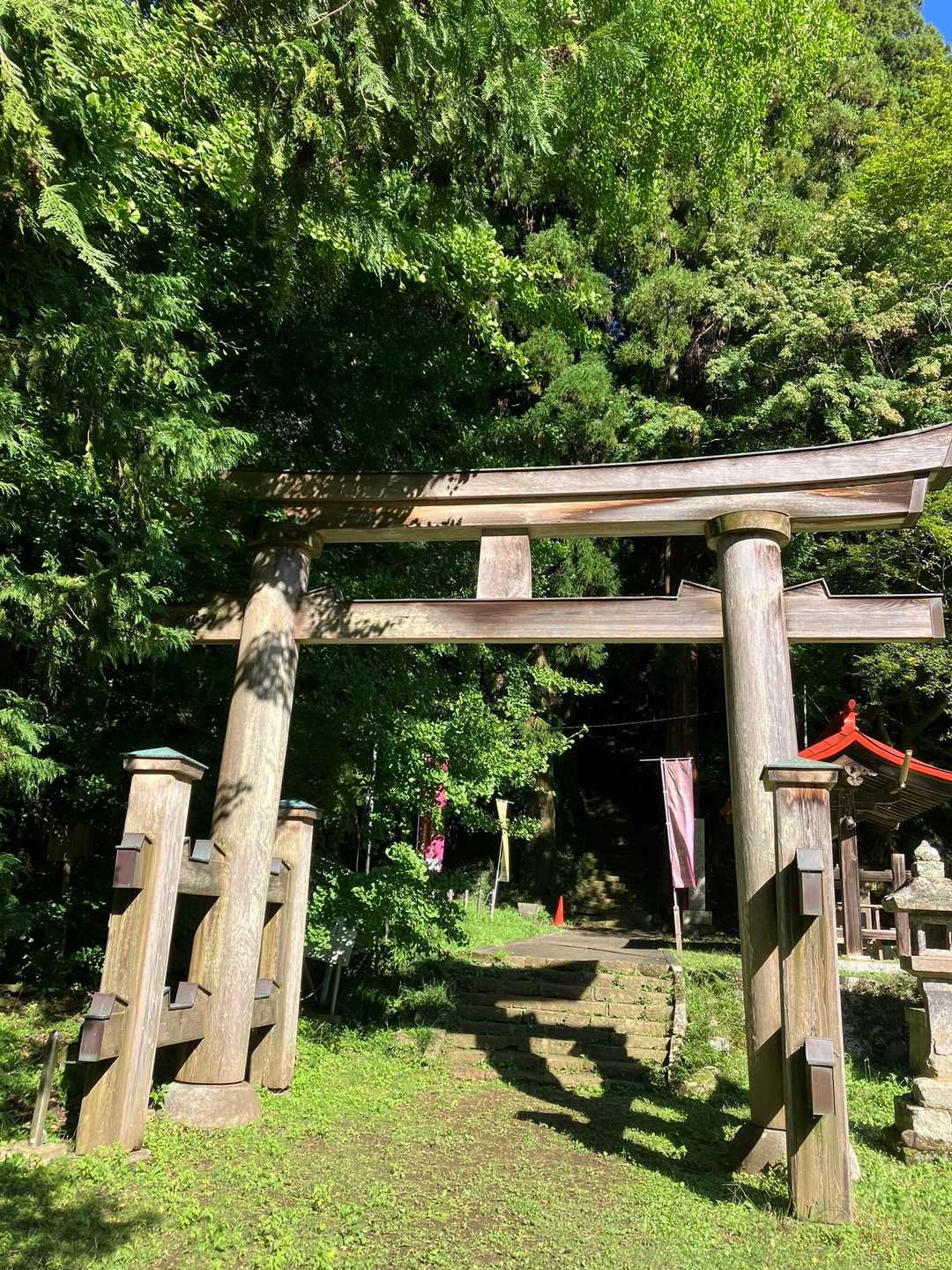 入口の鳥居⛩