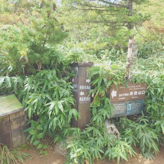 地図と方角はちゃんとしてるけど、距離とか時間が知りたいところに書いてない