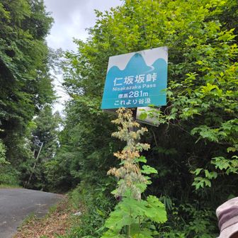 仁坂坂峠