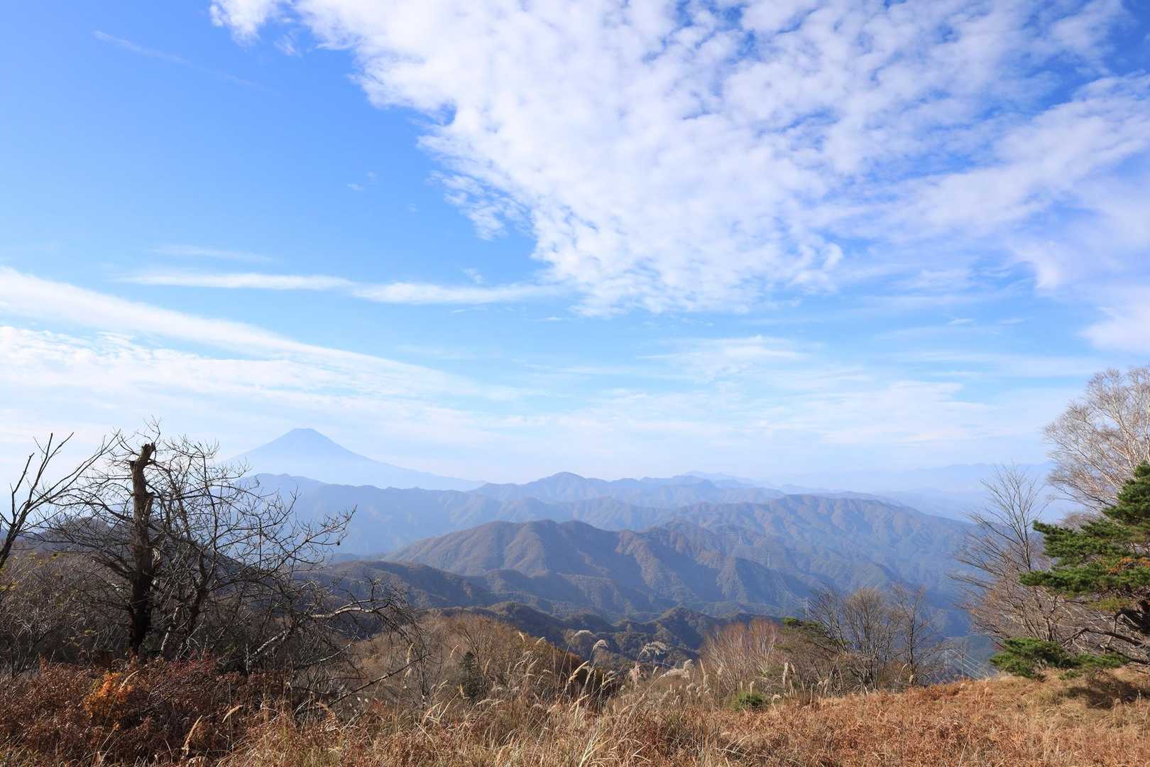 湯ノ沢峠登山口-湯の沢峠-大蔵高丸-ハマイバ丸-白谷ノ丸 周回コースの写真