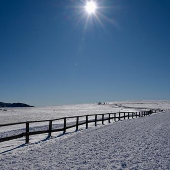 風が強いのが伝わらない😂